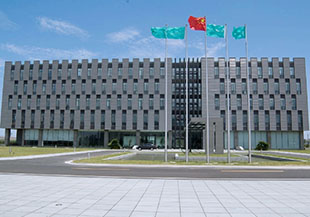 企业集团